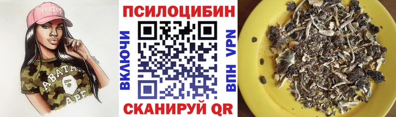 хочу   Белозерск  Псилоцибиновые грибы мухоморы 